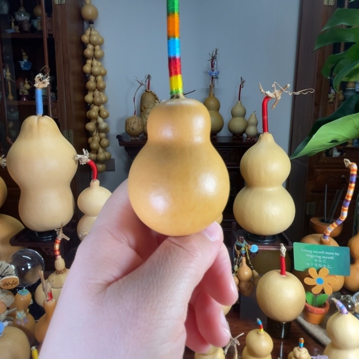 小灯泡葫芦满籽厚皮