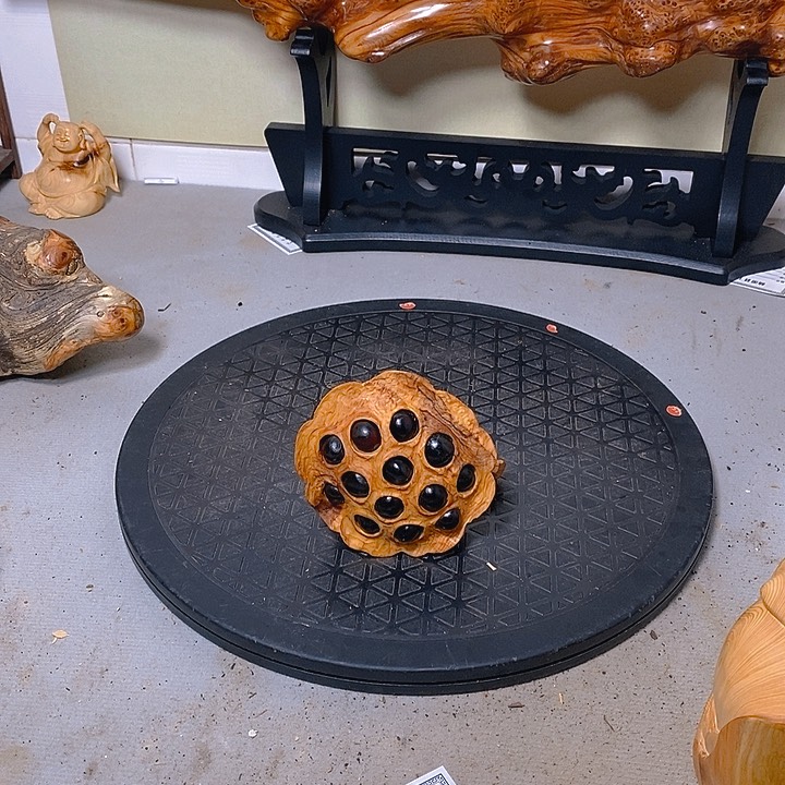 柏木（崖柏）松**声太行大峡谷崖柏