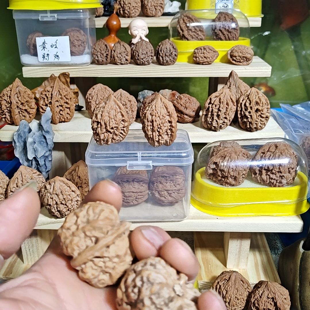 A***y蛤蟆头，有黄会修的来