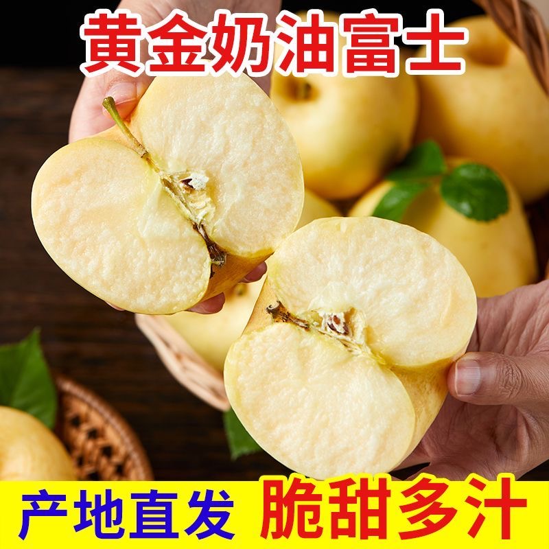 产地直发正宗烟台奶油富士苹果黄金富士脆甜应季水果