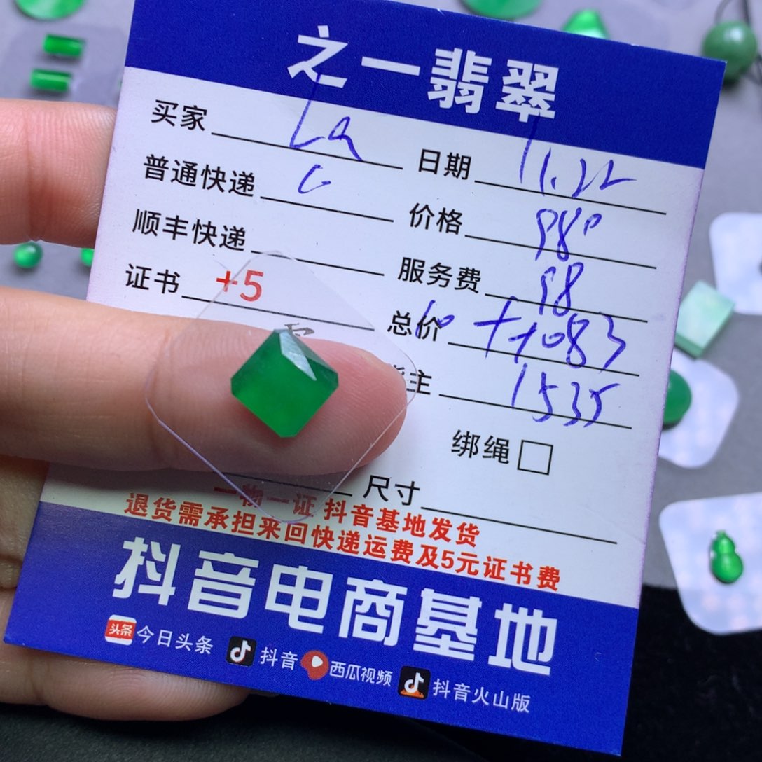 颈饰未镶嵌翡翠L**、