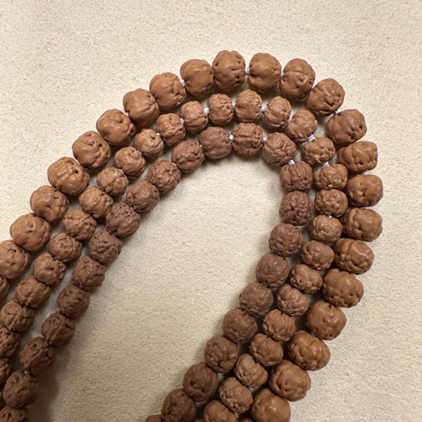 【五爪金龙佛手小金刚】入门级全品无修无药无滚筒金刚菩提