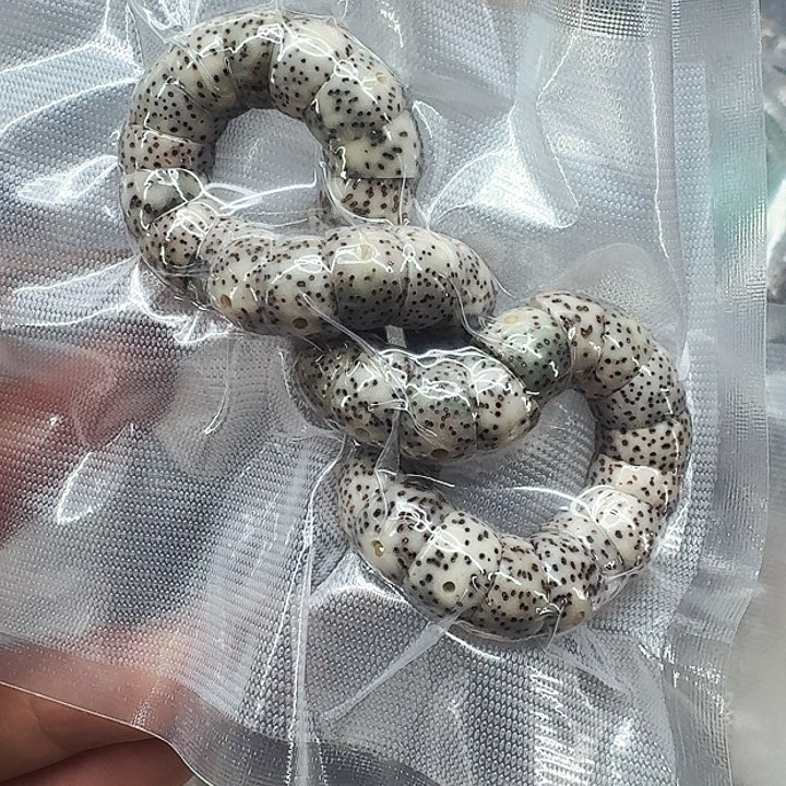 星月菩提手串436卓越星月菩提猪大肠10单圈
