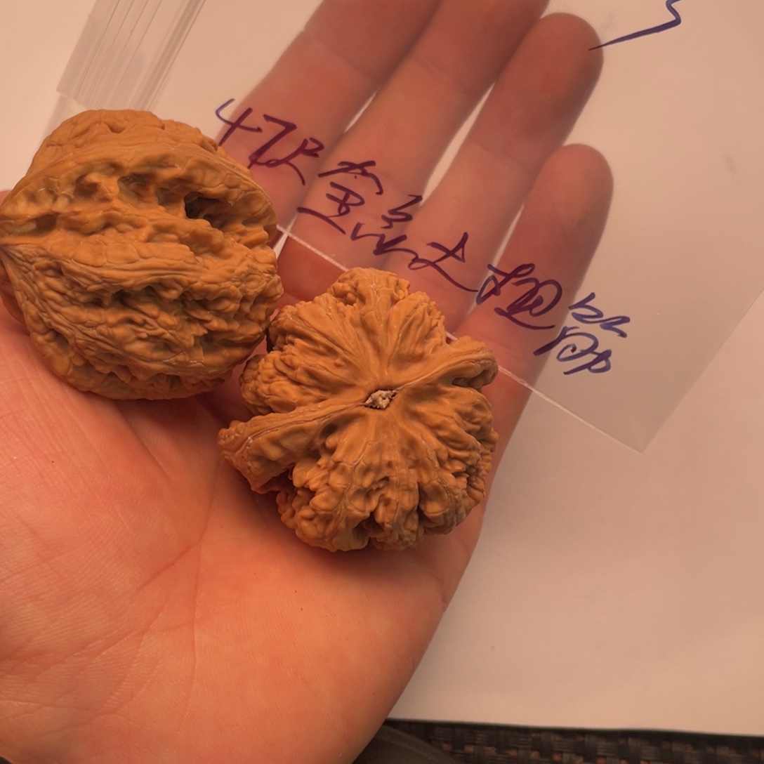 手串/手链核桃003