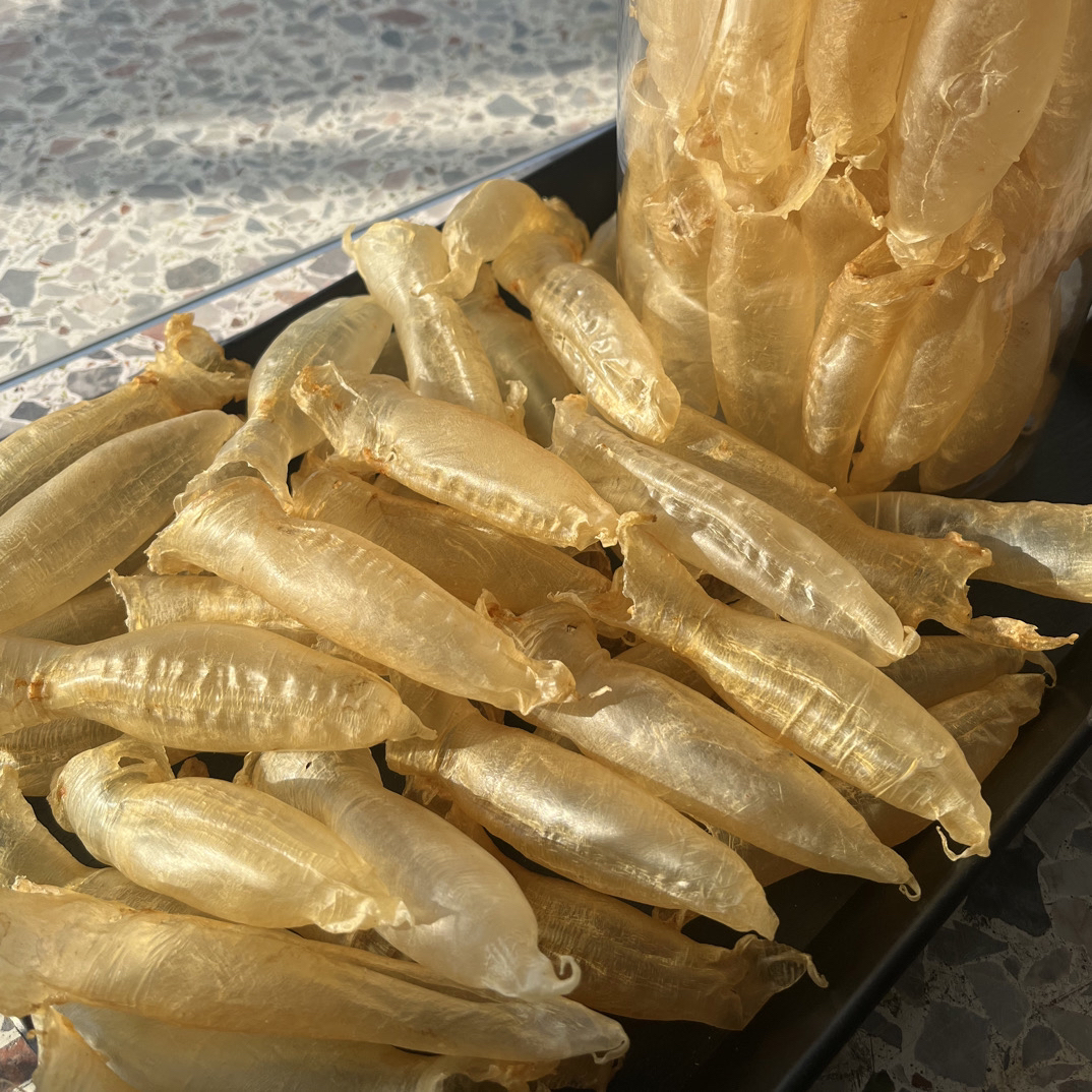 180头蜘蛛公筒滋补干货高端滋补肉质细腻Q弹煲汤食材