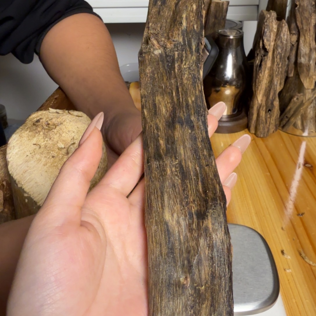 沉香紫奇虫漏香48克