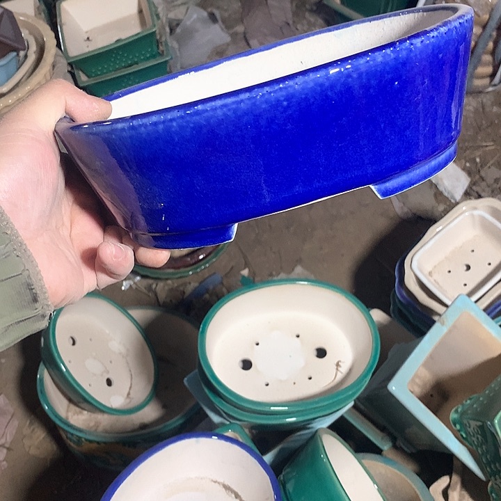 紫砂哈哈真的超级可爱哈哈哈