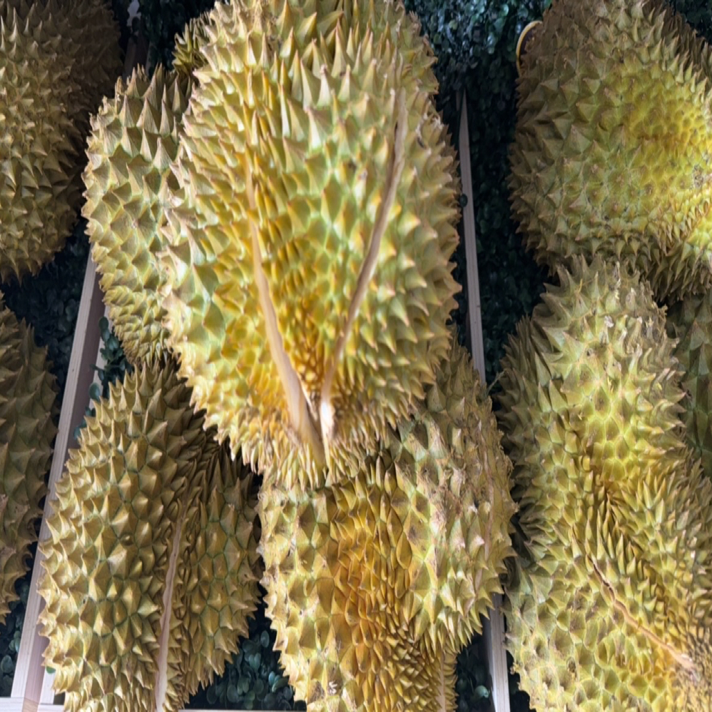果臻集泰国新鲜金枕榴莲，2--5斤，果核小，口感软糯香甜，一果一车金枕泰国