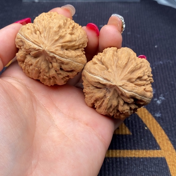 原***弹文玩核桃把件霸王龙