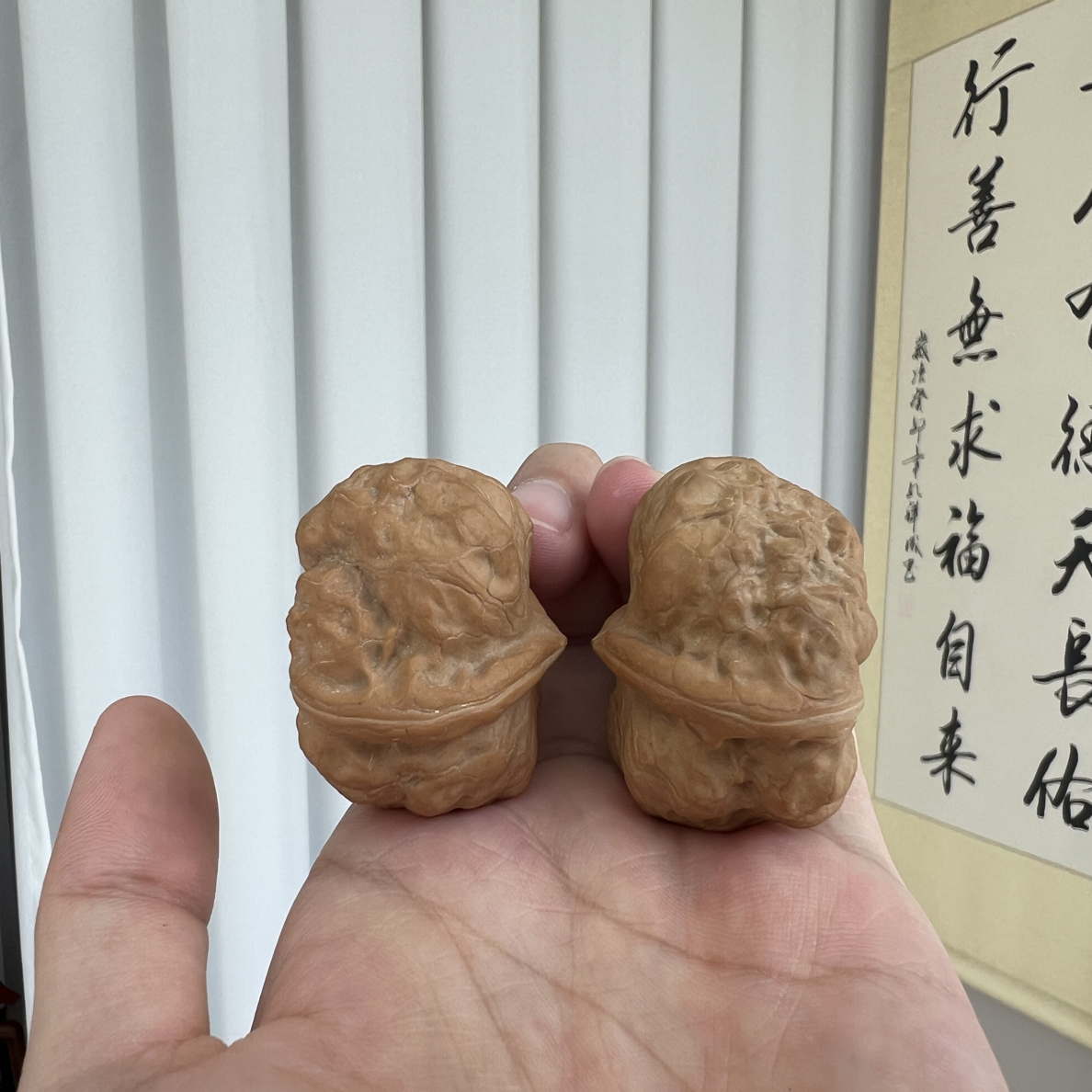 老树红皮大肚子古蟾，肚40边36高31