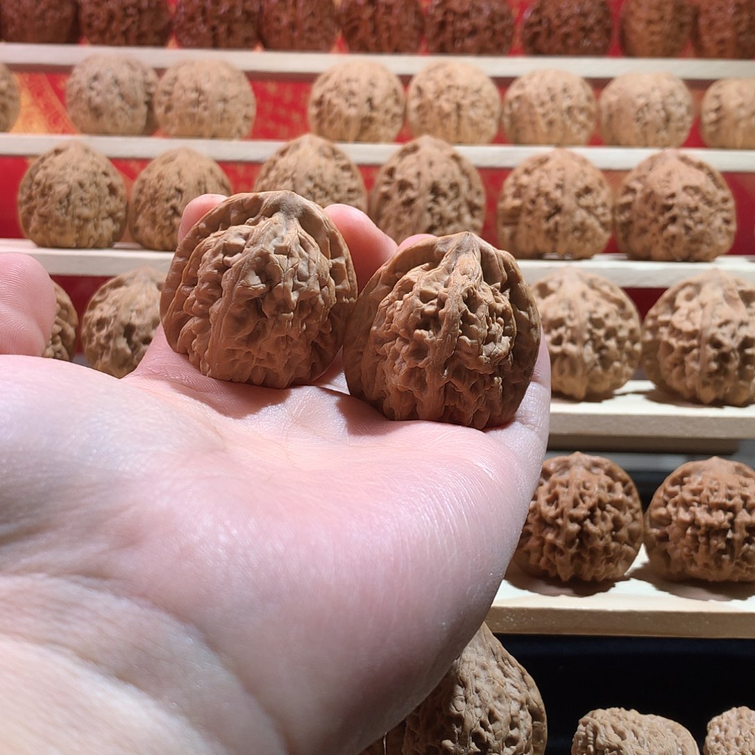 野***猪核桃41红锦鲤文玩核桃手把件