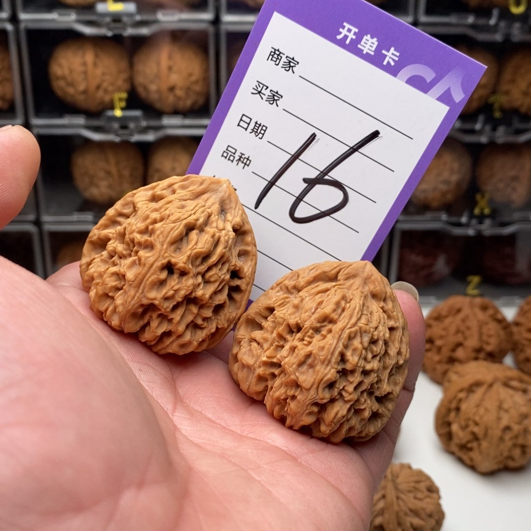 41三角南疆石狮子头