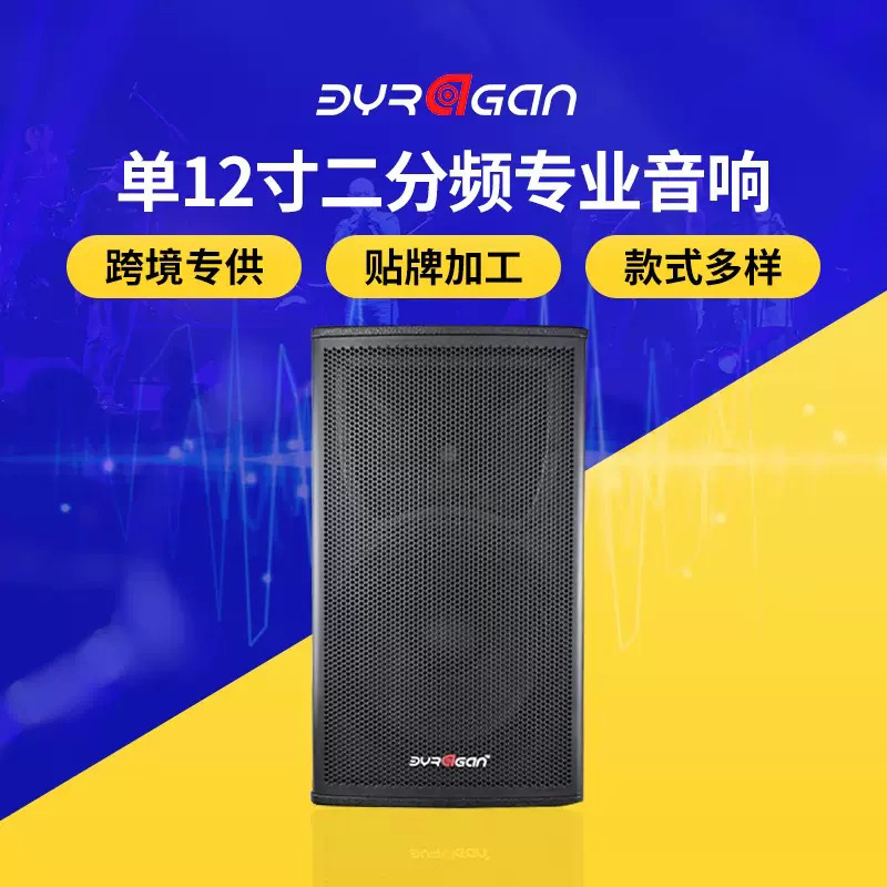 10寸12寸15寸音箱空箱体空音箱空壳专业舞台婚庆会议KTV专业音箱