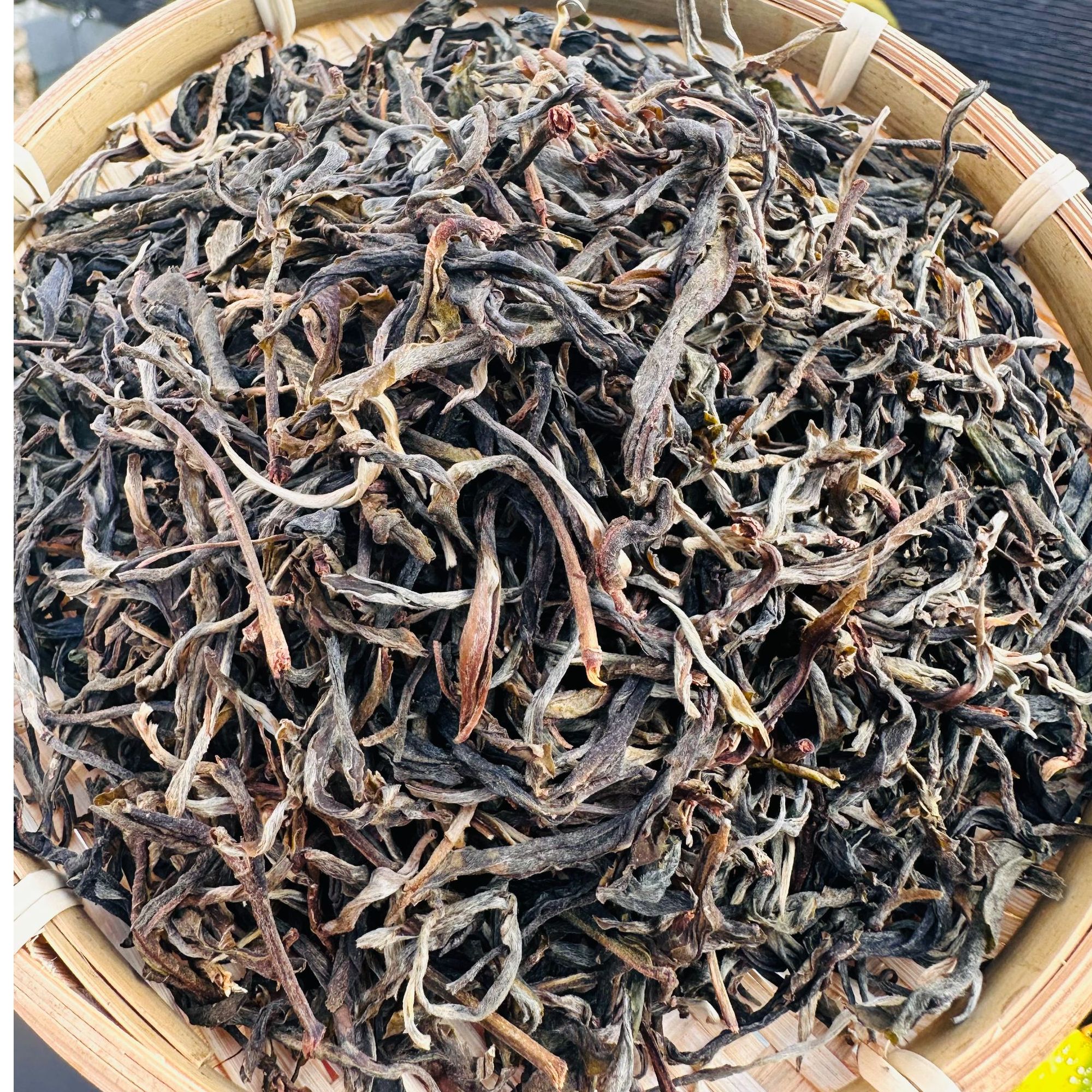 【海龙】2023年冰岛茶区西半山大树新人福利散料100g