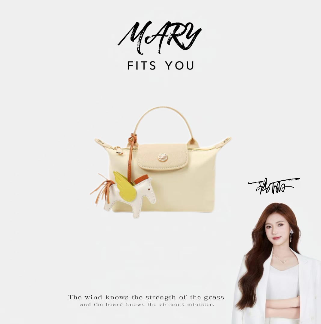 【Mary玛丽甄选】2025新款休闲百搭潮流时尚手提单肩斜挎包
