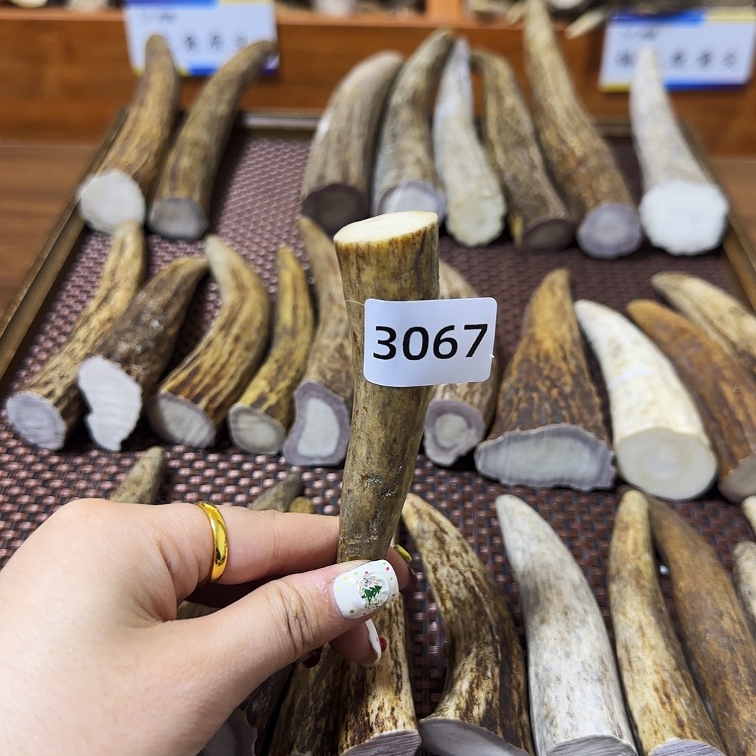 鹿骨手串/手链角尖3067