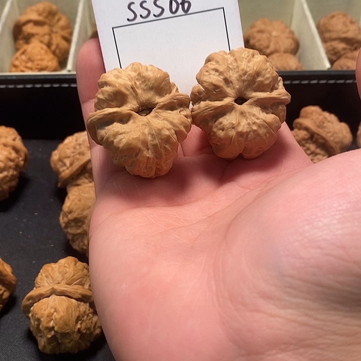 文玩核桃吊坠B***m蛤蟆