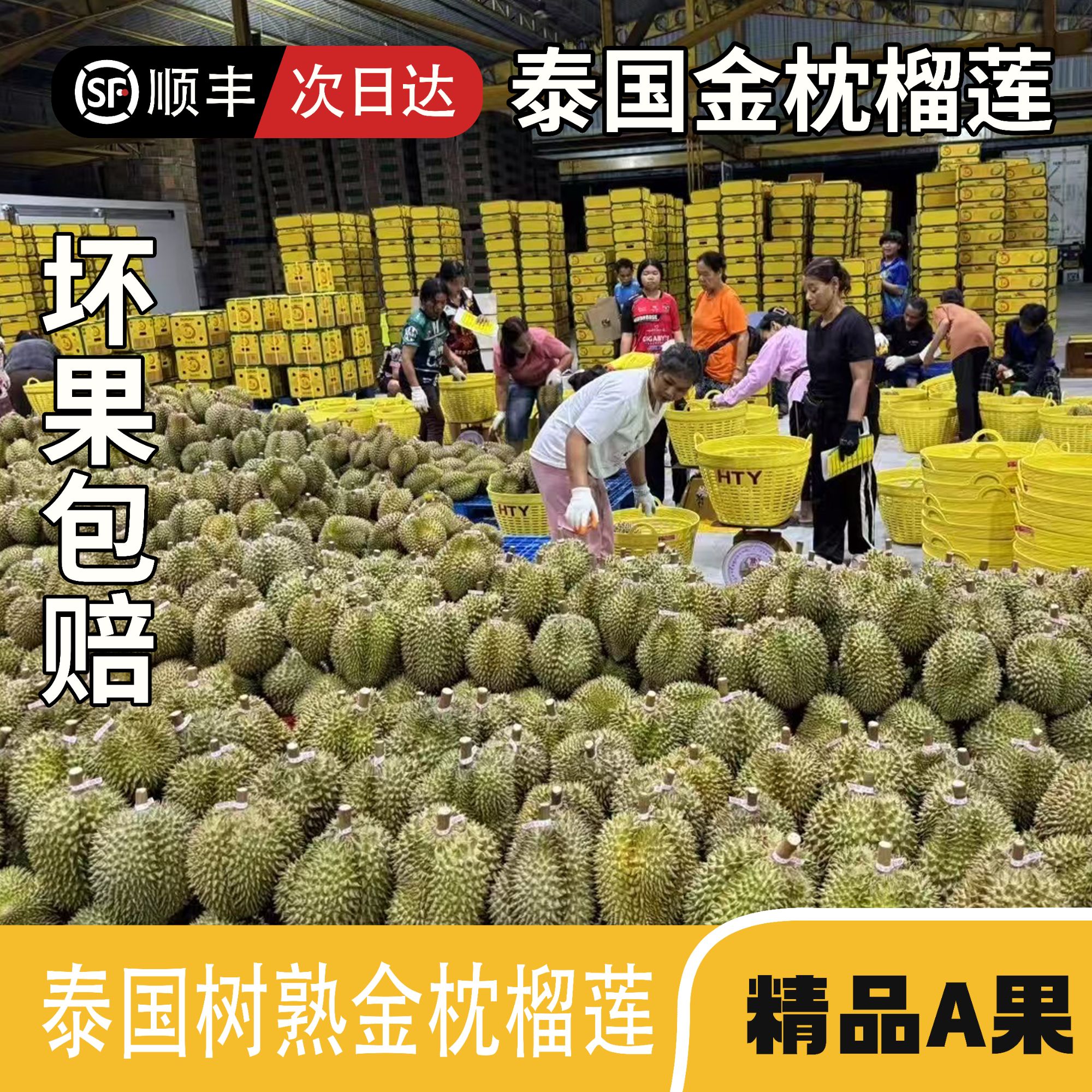 【顺丰次日达】泰国金枕榴莲树熟新鲜巴掌果核小1.5-2斤金枕泰国