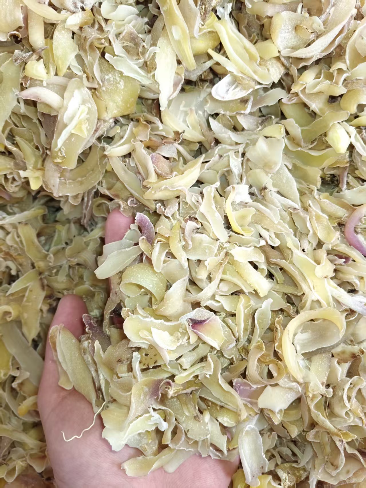 中缅农品-- 百合-- 粉糯精选