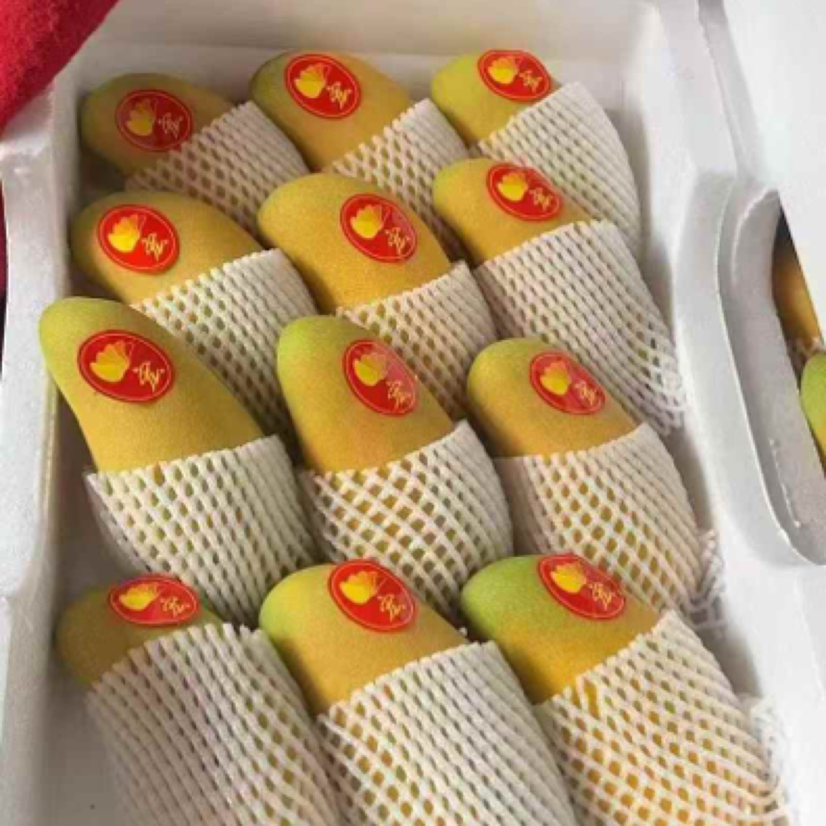 水仙芒果 88一箱12一颗