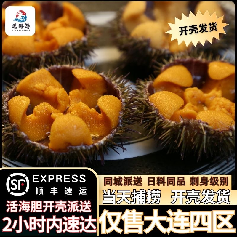 新鲜大连马粪海胆一斤13-14只顺丰跑腿配送 （仅售大连市内四区）