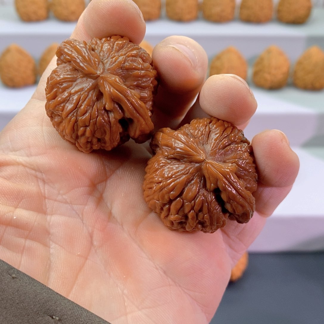 文玩核桃把件38全品白狮子