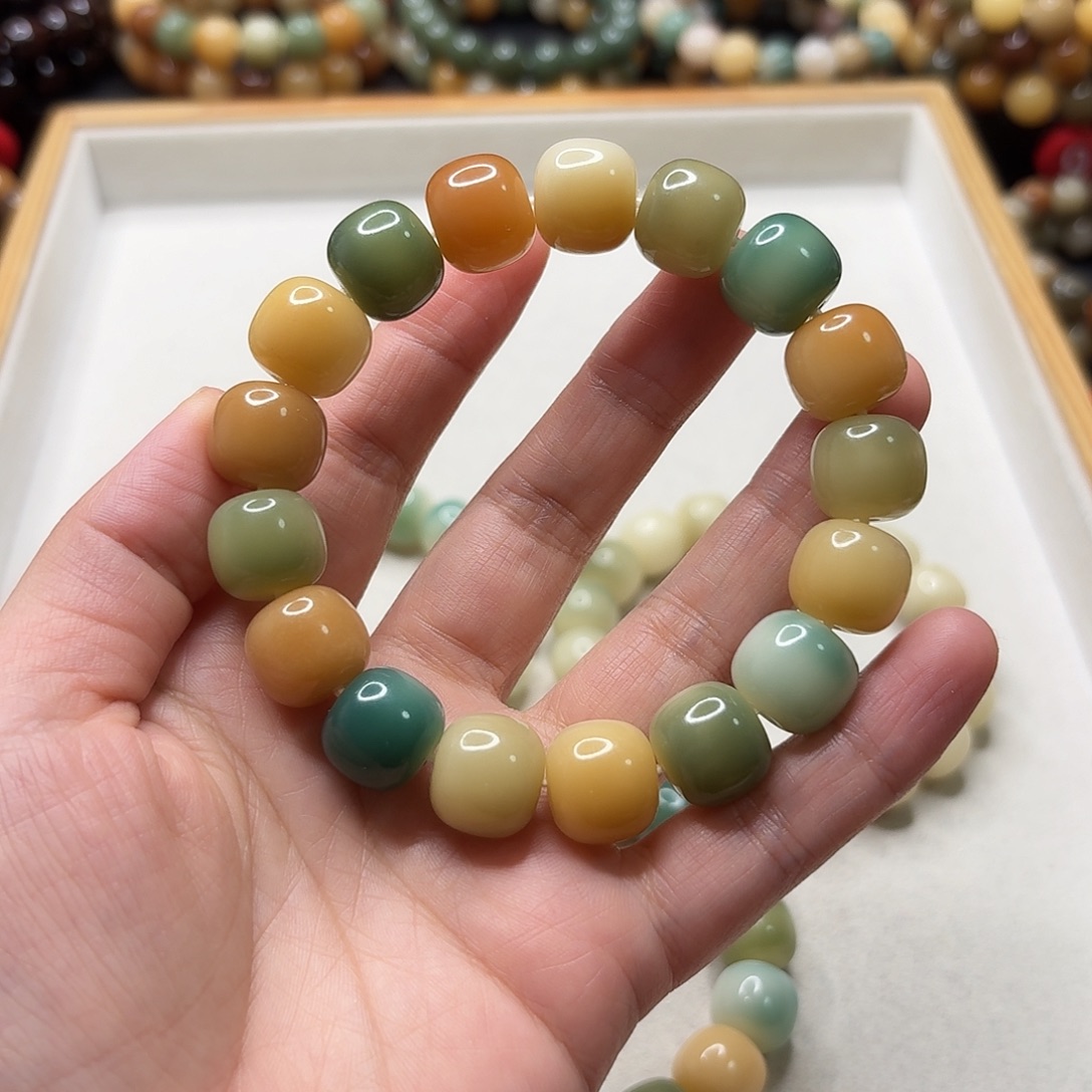 天***子菩提根/象牙果手串已加备用珠