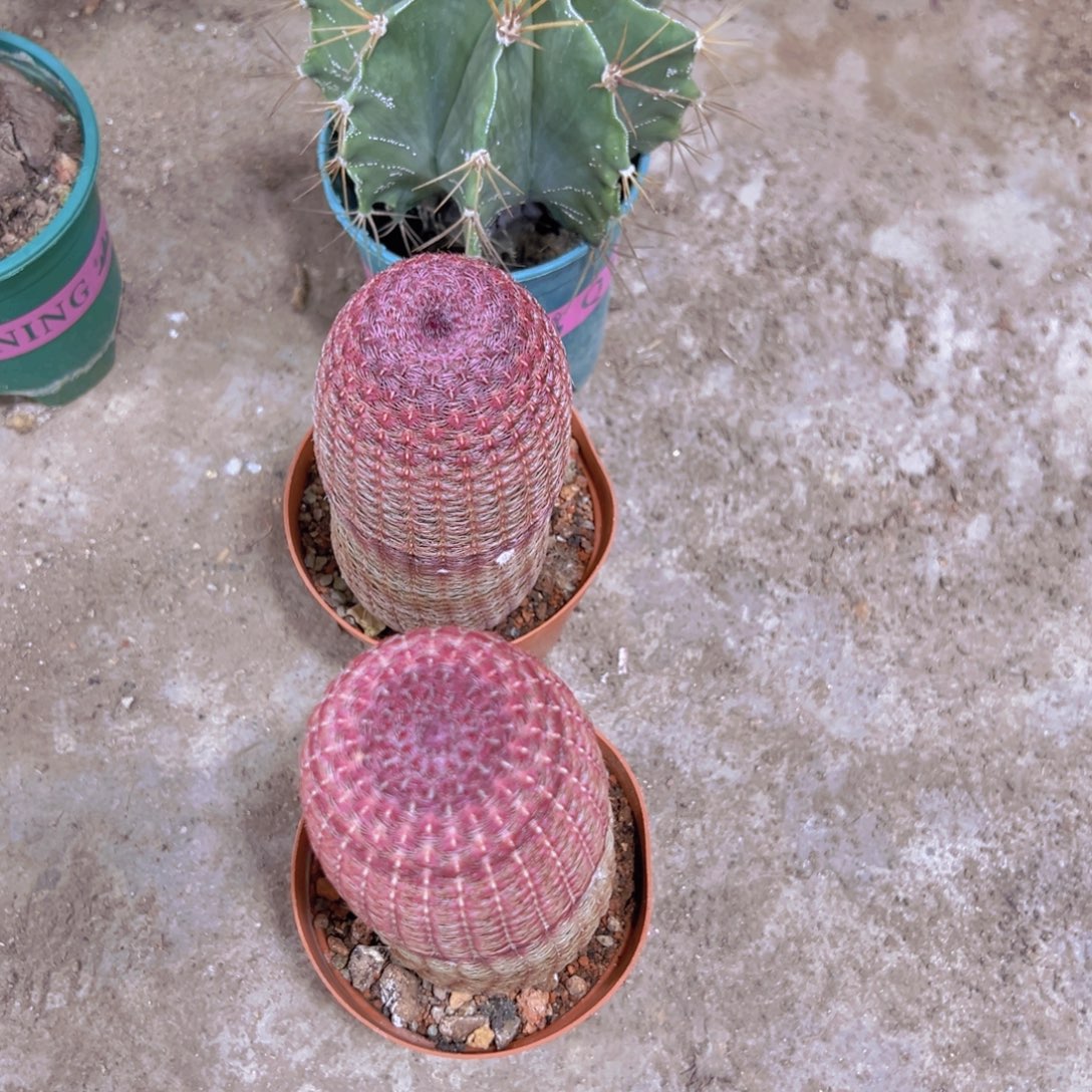 幸****你要吃就去看电影哈哈好想睡觉觉