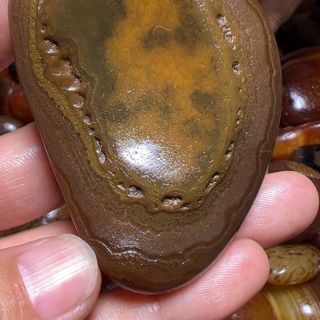 港***龙瓷片马达加斯加奇石