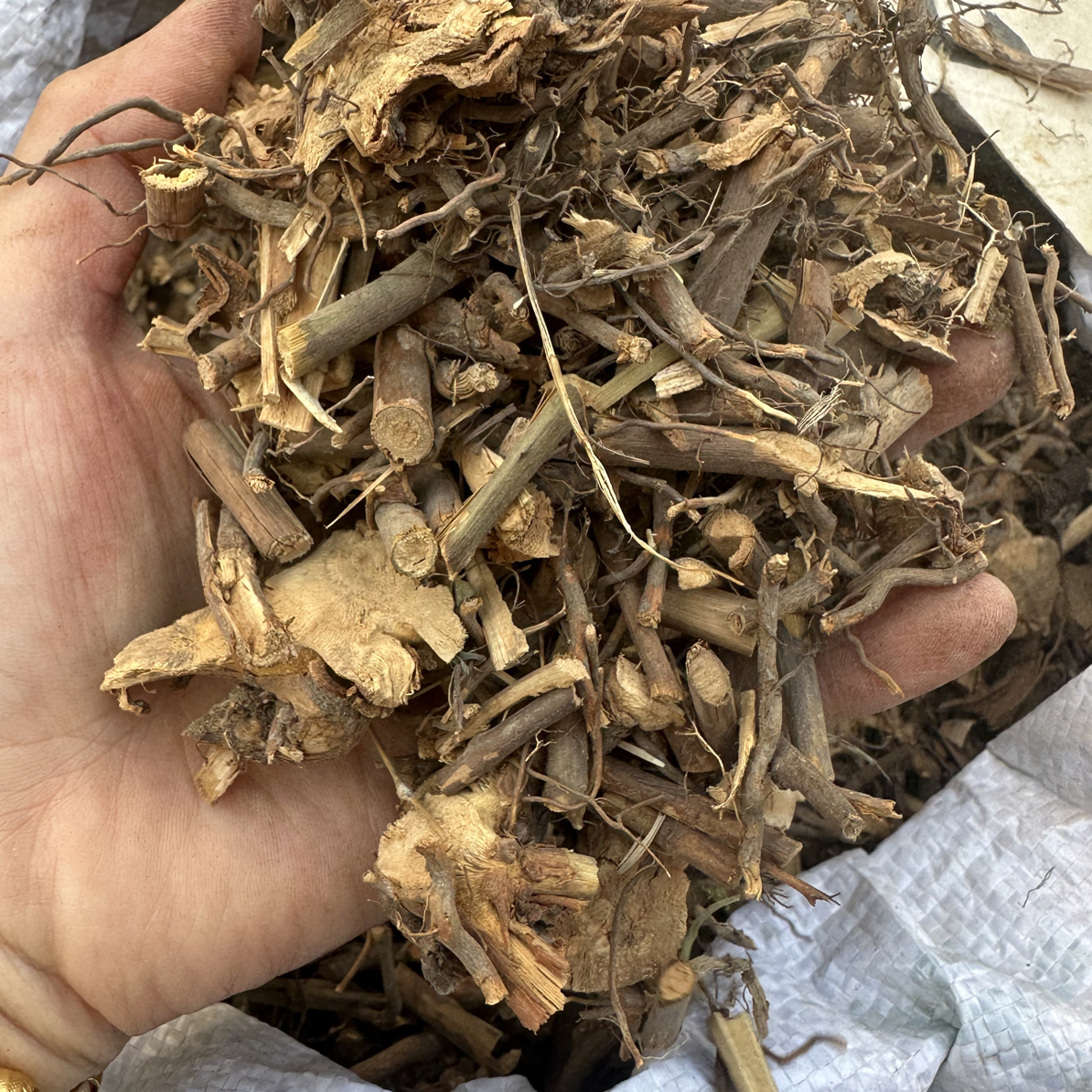 三月泡根野生中草药材三月泡茅莓根250克为一份包邮