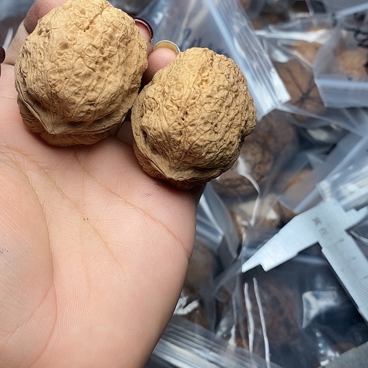 文玩核桃把件77号43mm