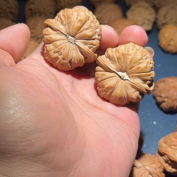 阿****木43南瓜敦。     