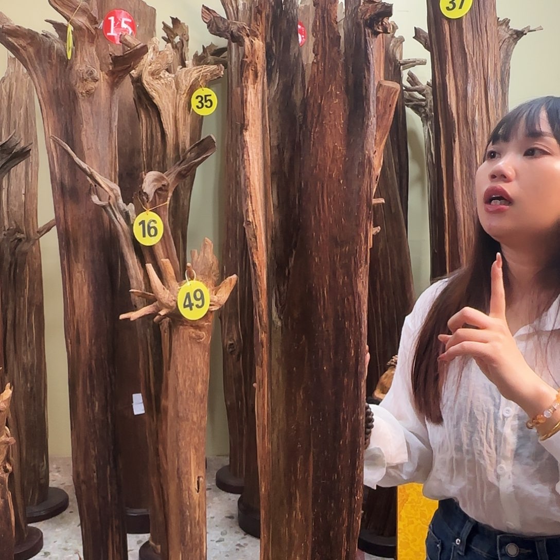 沉香沉香碎屑天然沉香原材料香料熏料