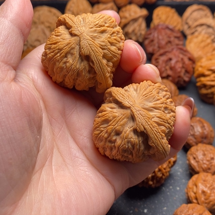 秦岭野生111111111