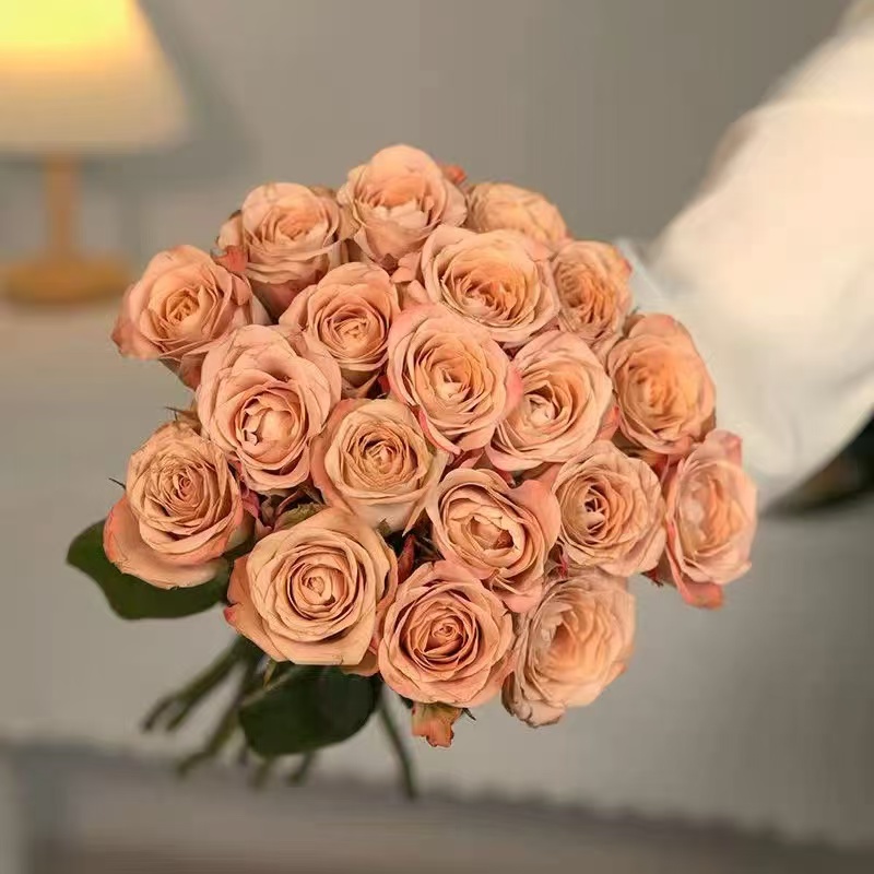 【卡布奇诺】云南基地直发--全场任意两单升级冷链快递