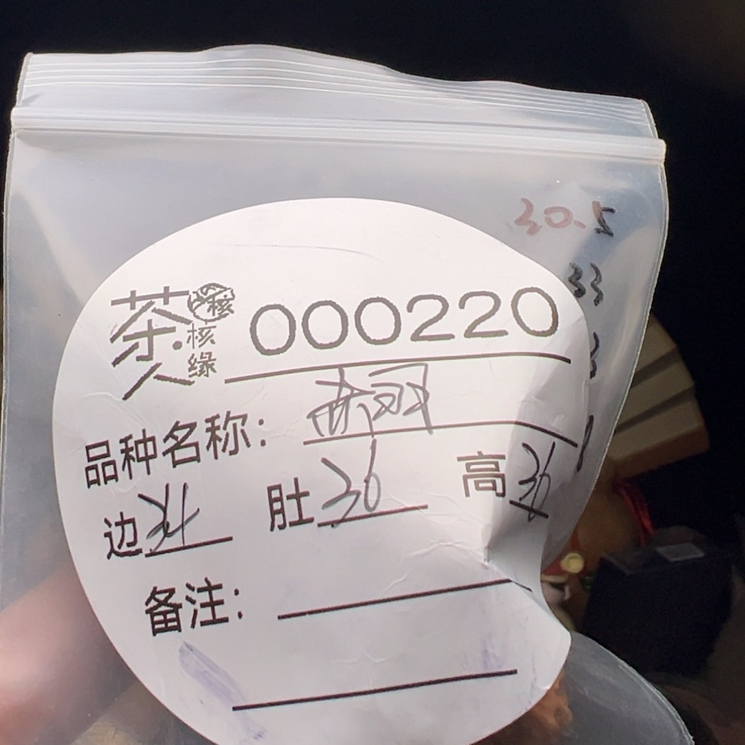 吊坠文玩核桃今天