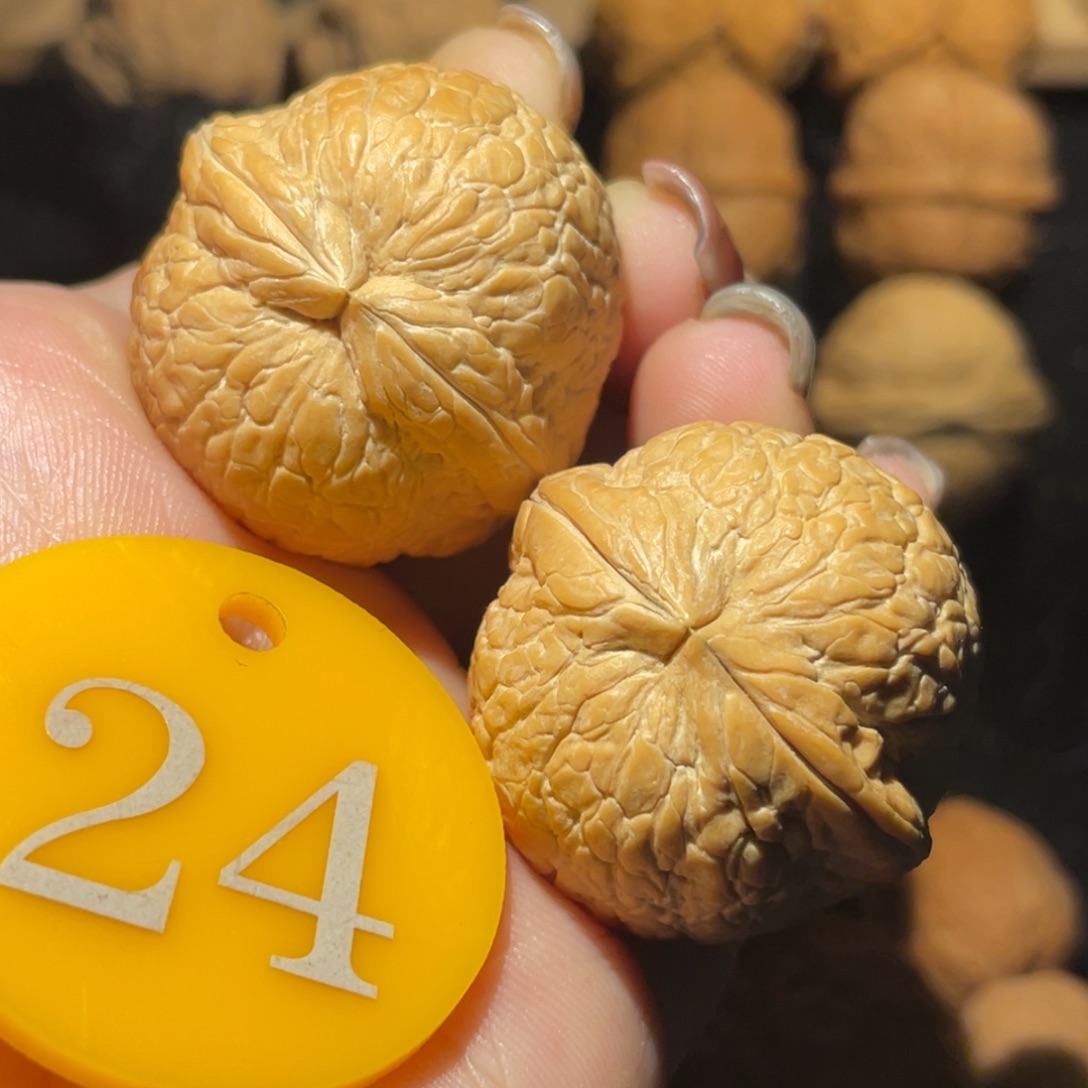 大西瓜33尺寸核桃