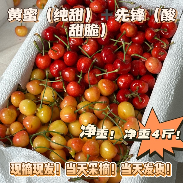 【果园直发】双拼山东露天黄蜜➕酸甜脆先锋大樱桃1J-2J4斤新鲜水果黄蜜（纯甜）➕先锋（酸甜脆）山东省