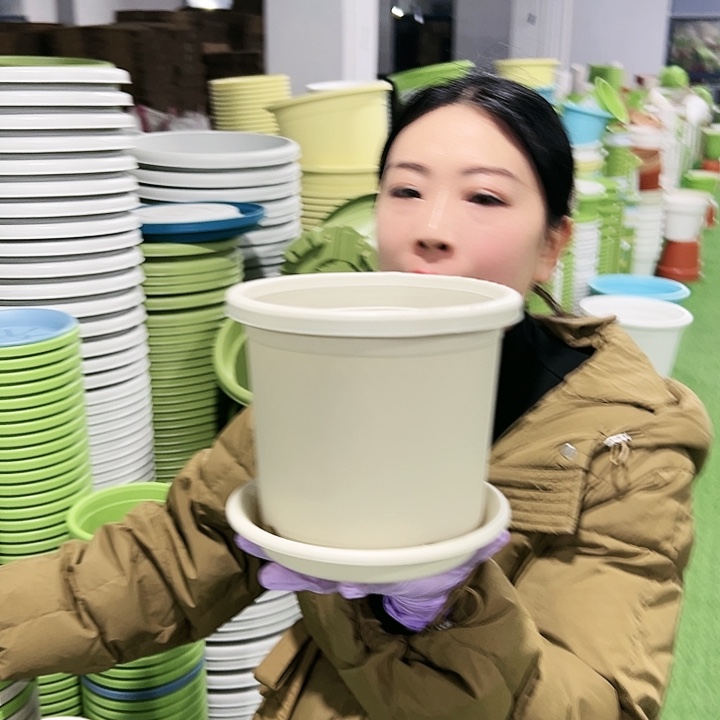 特价2号四季口17高15米色10只带托