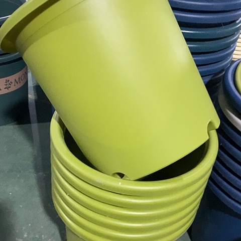 树脂四季8号微瑕果绿无托5个