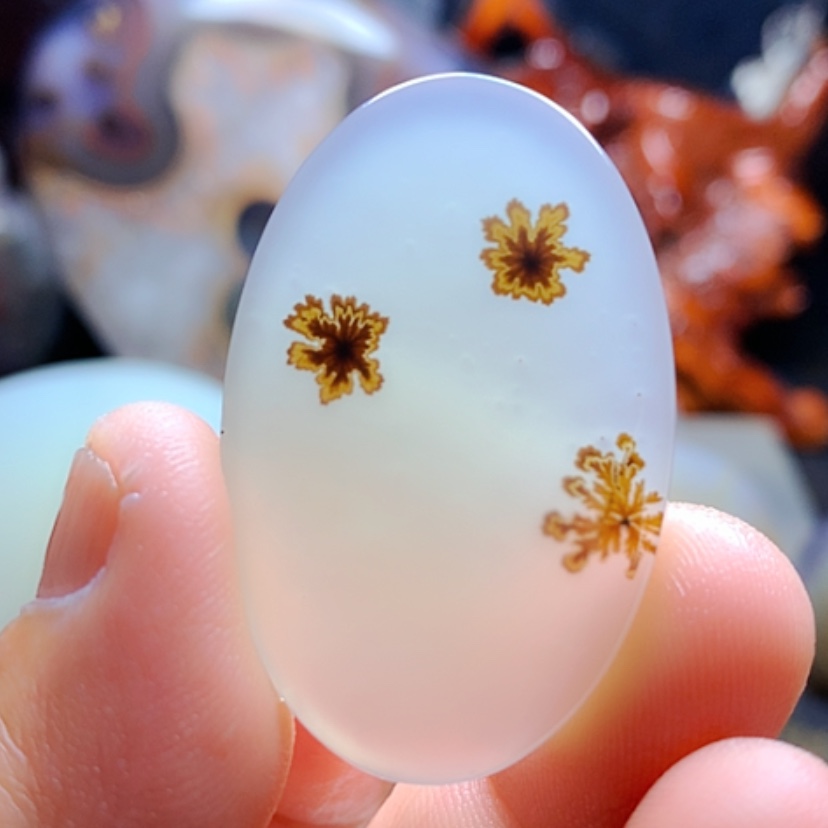 【闪购商品】玛瑙/玉髓颈饰未镶嵌