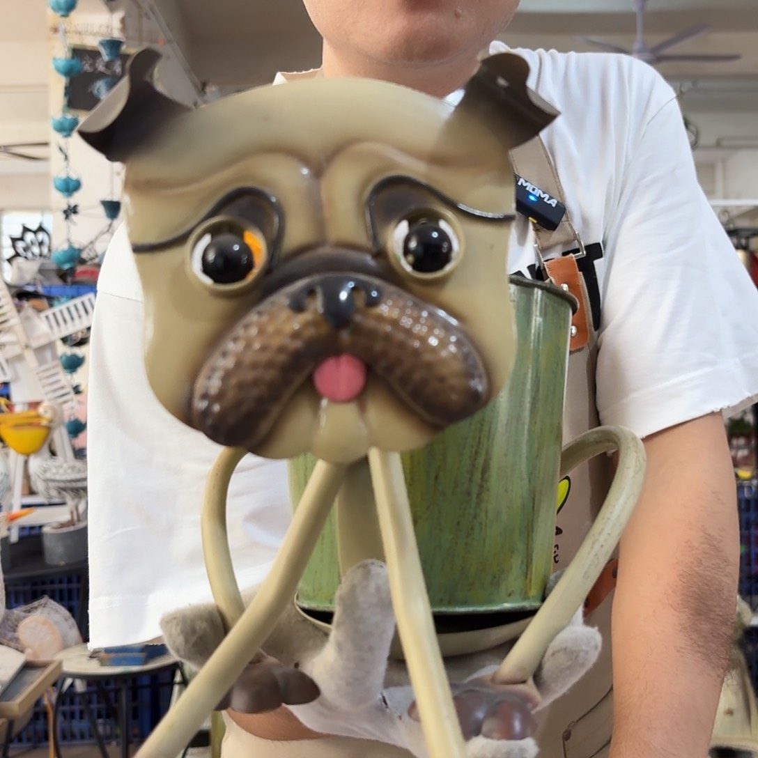 核桃木/黑胡桃（胡桃木）