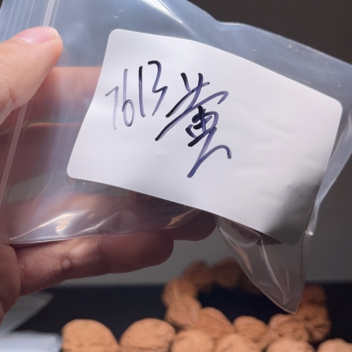 星****文玩核桃吊坠核桃7613