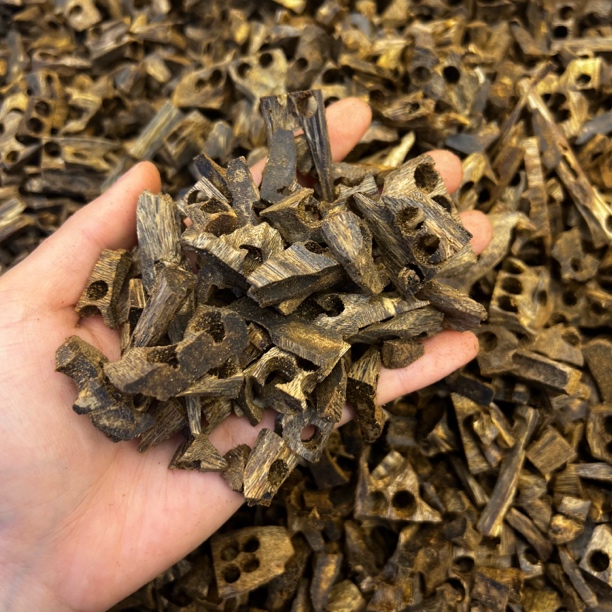 【老料紫棋】50克高油熏香料  兰花蜜甜香