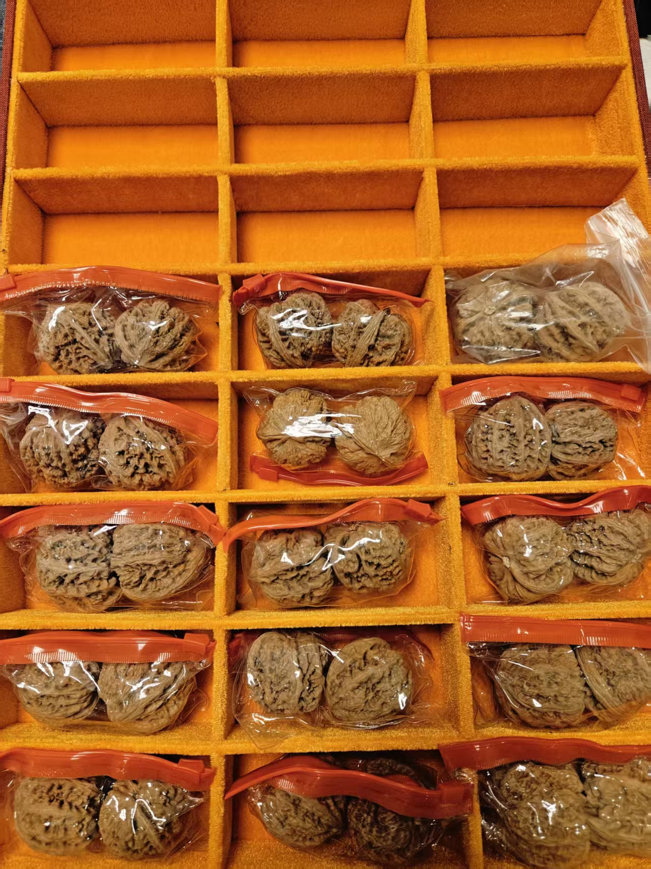 【福利品】文玩核桃 大粗筋  微瑕品 43-46尺寸 （随机发）