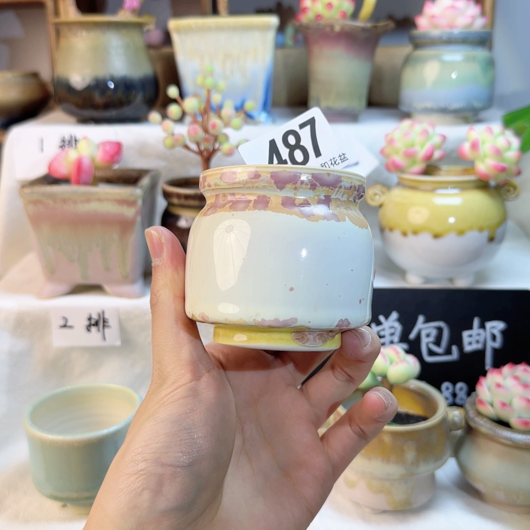 487。内口5cm。非偏远两单包邮