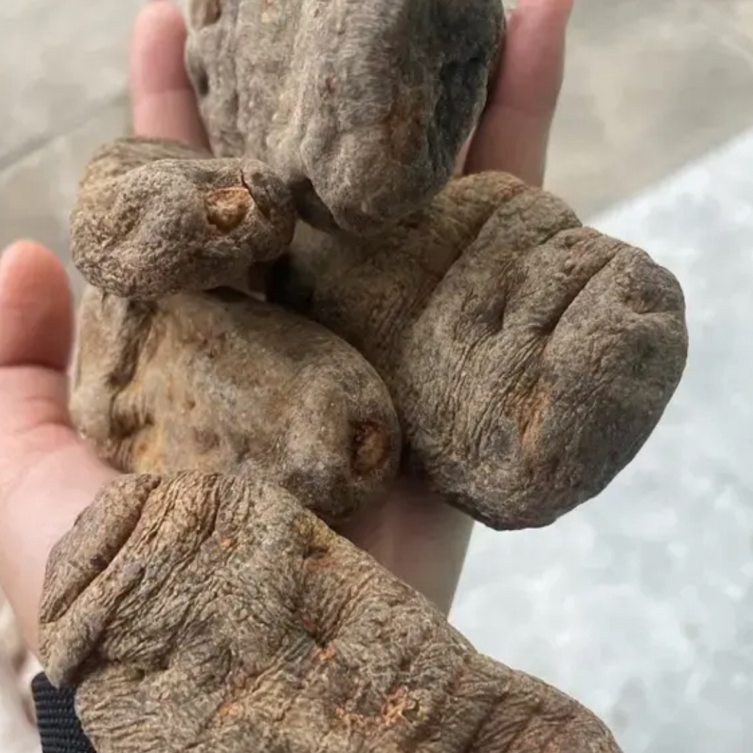 云南深山采挖黑金天麻干货滋补煲汤佳品