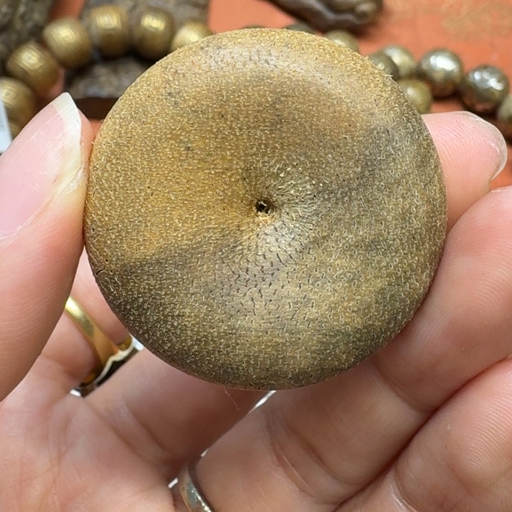 大叶紫檀（黑酸枝木类）