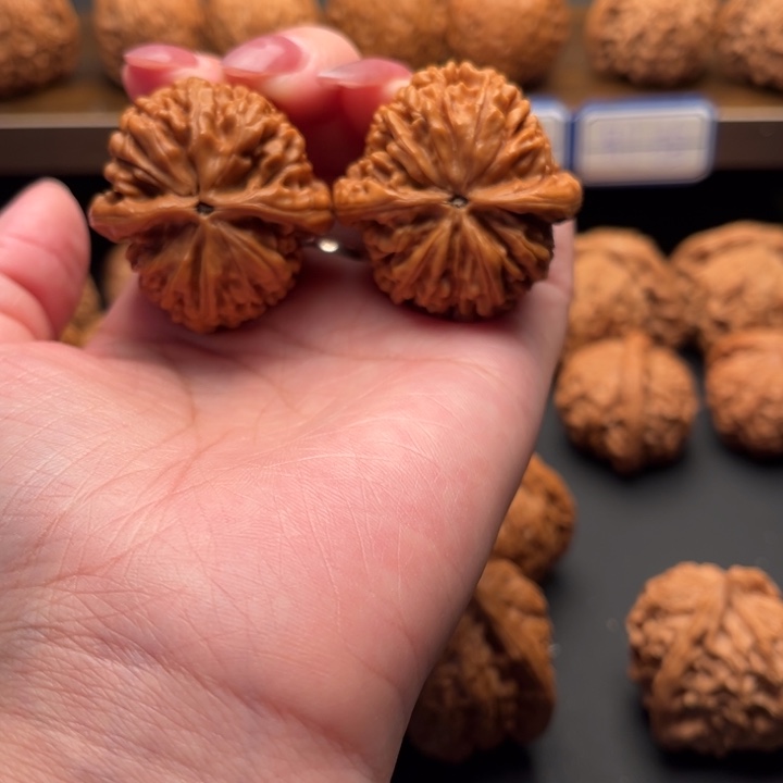 文玩核桃把件蚂蚁王