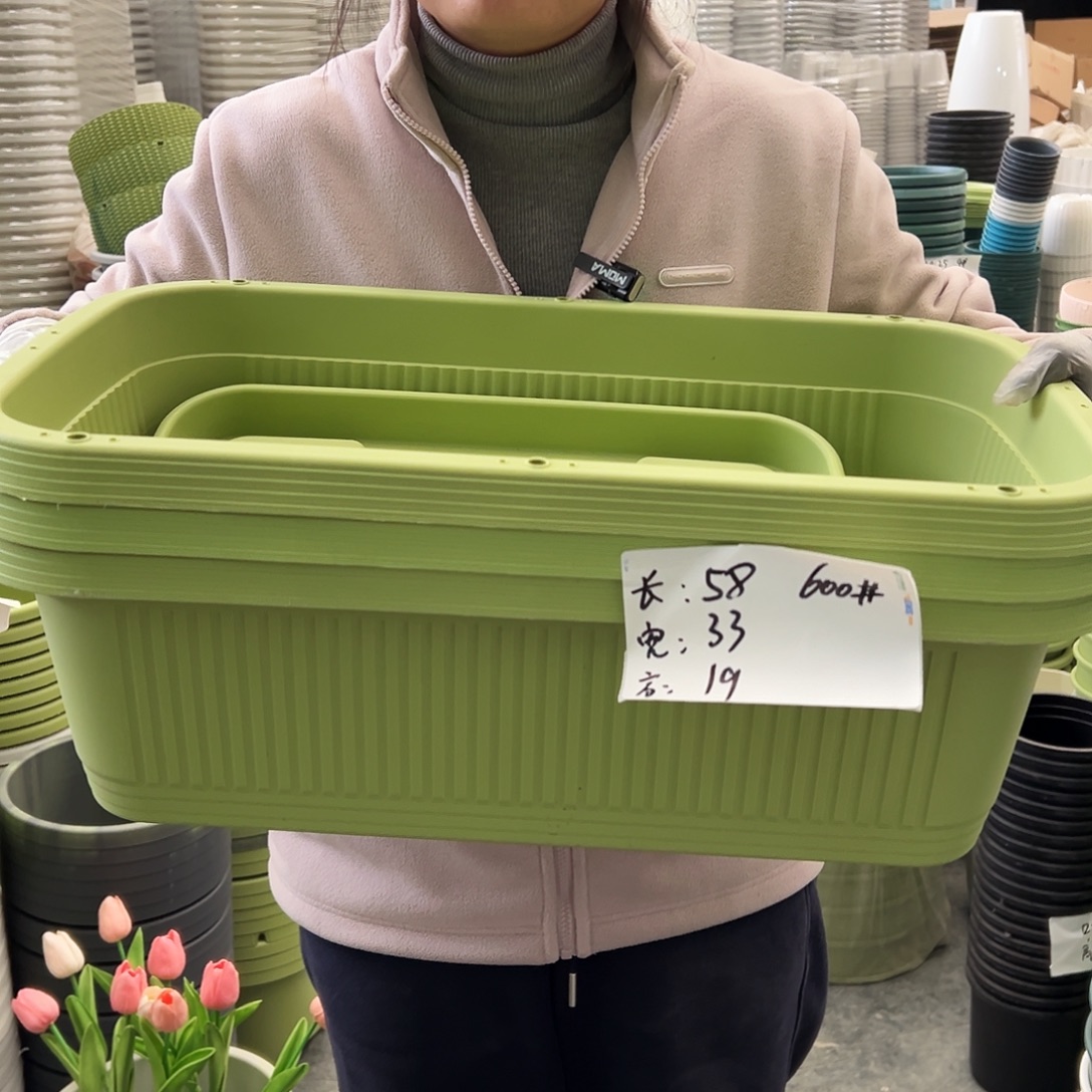 菜盆600#果绿色3个（含托盘）